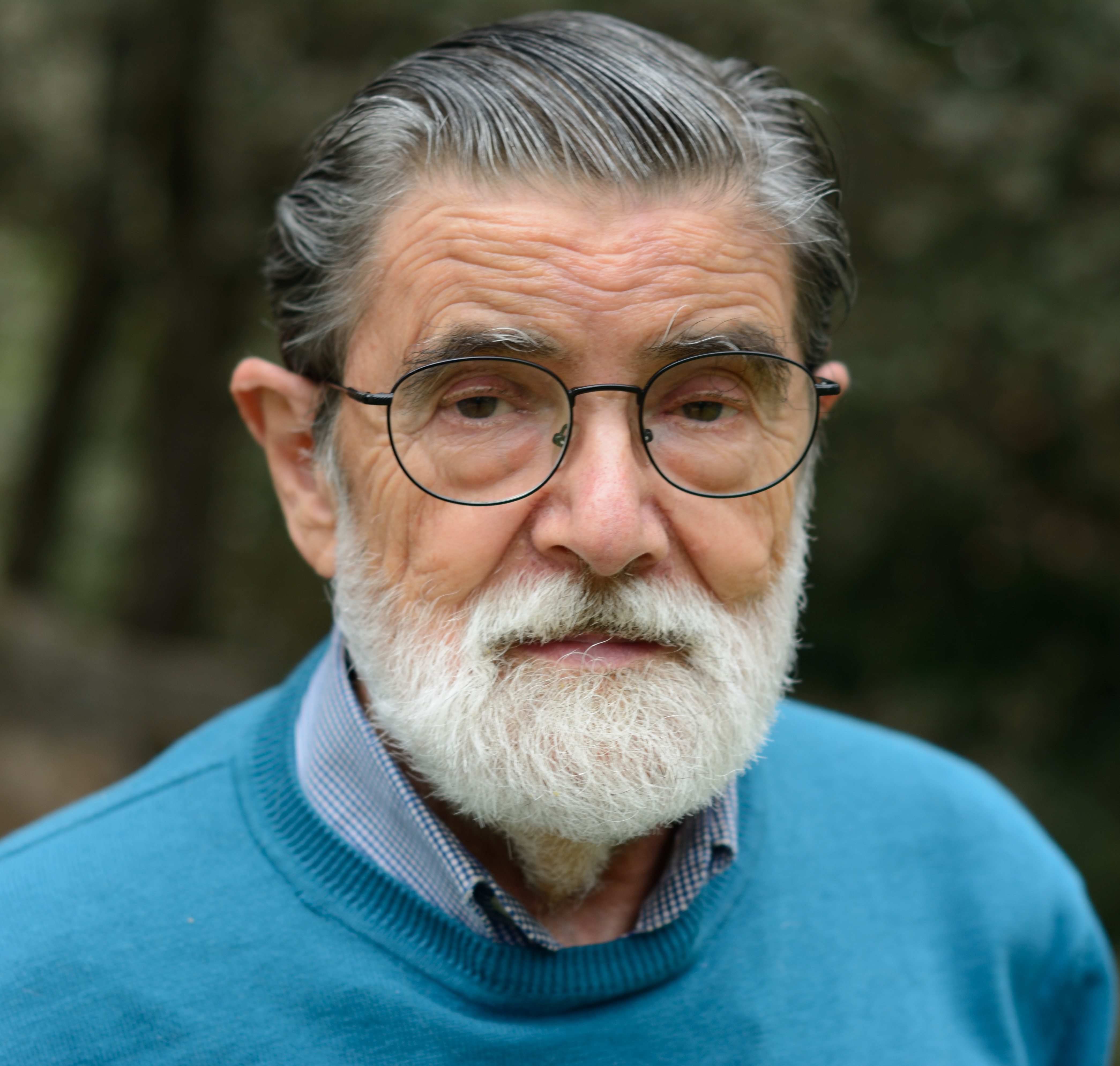 Pedro Sevylla de Juana